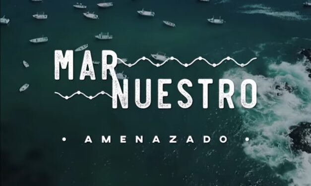 “Mar Nuestro”: el documental que revela cómo se viene sobreexplotando y contaminando el mar peruano