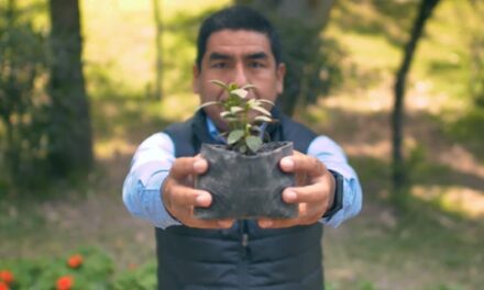 ¡Por un aire más puro! Conoce cinco acciones que ayudan a mitigar el daño el aire que respiramos