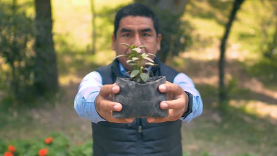 ¡Por un aire más puro! Conoce cinco acciones que ayudan a mitigar el daño el aire que respiramos