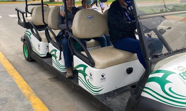 Municipalidad de Punta Hermosa impediría circulación de Ecobuses en su balneario