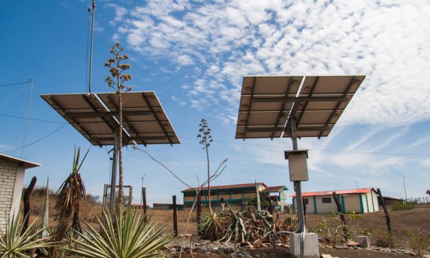 Día Mundial de la Educación Ambiental: ¿cómo promover una cultura de cuidado del medioambiente?