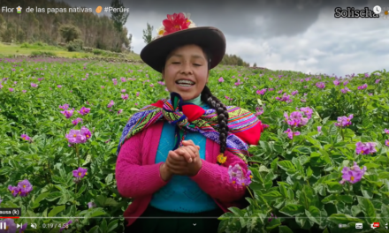 Mes de la mujer: Creadoras del Perú que triunfan en YouTube