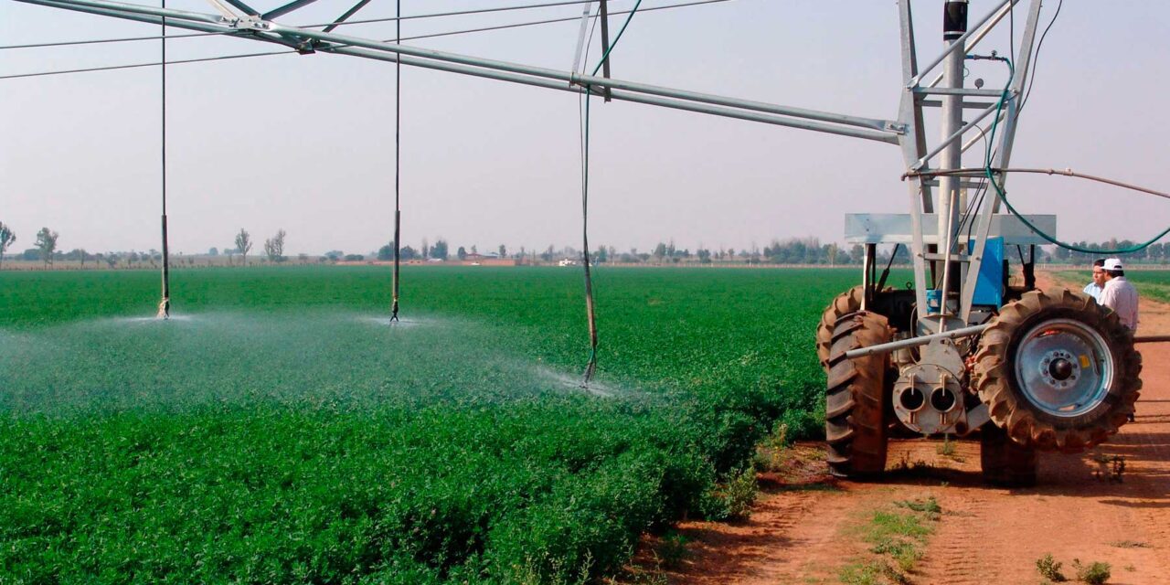 Kilimo: sector agrícola peruano tiene un enorme potencial en el uso eficiente del agua
