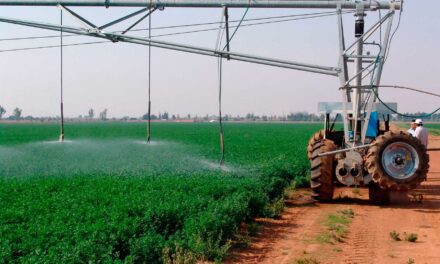 Kilimo: sector agrícola peruano tiene un enorme potencial en el uso eficiente del agua