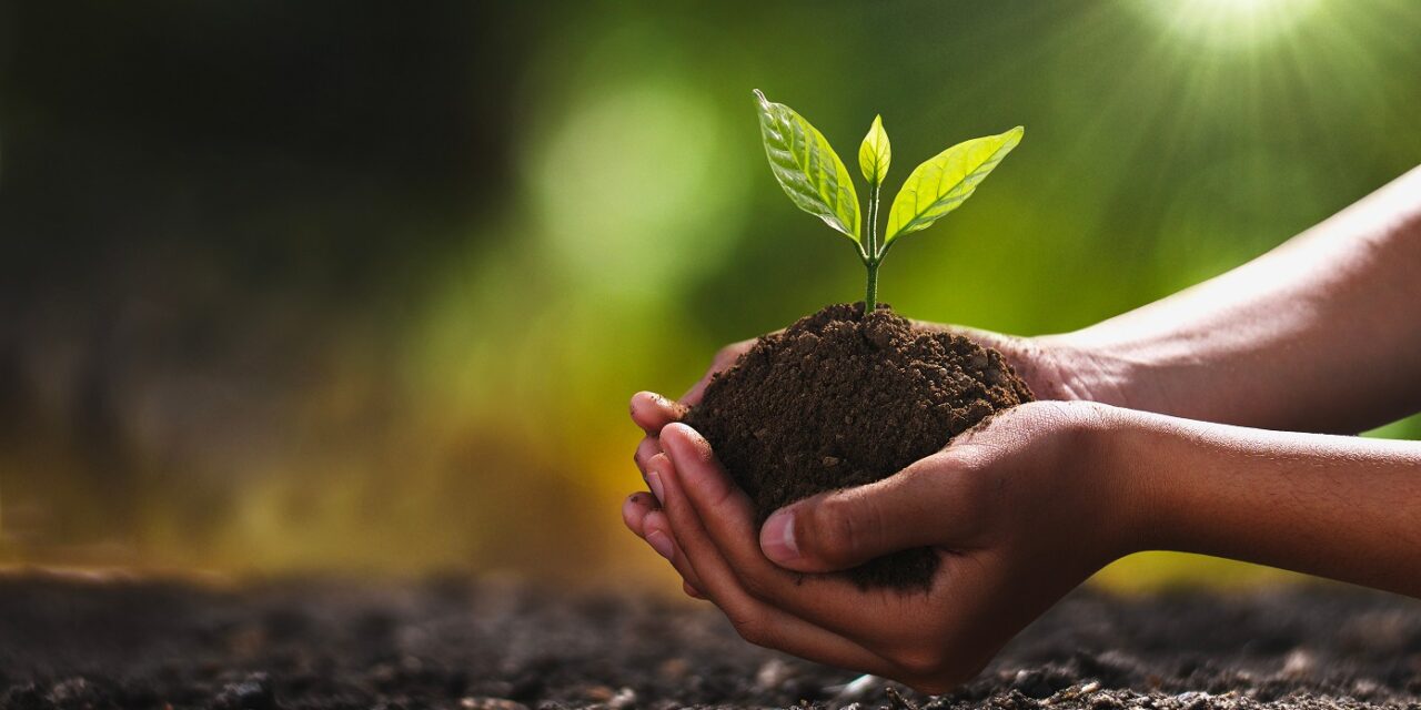 Día de la Tierra: estas son las energías limpias que cambiarán el planeta en 2050