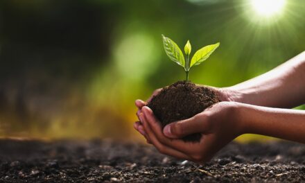 Día de la Tierra: estas son las energías limpias que cambiarán el planeta en 2050