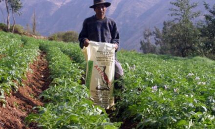 Se proyecta que exportación de frutas y hortalizas tendrían un crecimiento de 15% en 2022