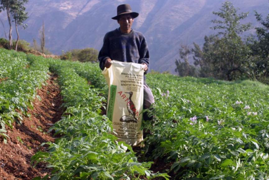 Se proyecta que exportación de frutas y hortalizas tendrían un crecimiento de 15% en 2022
