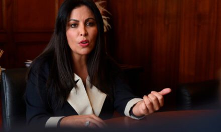Patricia Chirinos denuncia constitucionalmente a Pedro Castillo y pide su inhabilitación