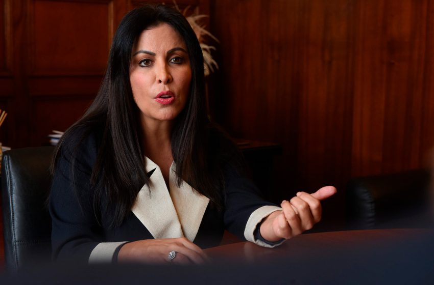 Patricia Chirinos denuncia constitucionalmente a Pedro Castillo y pide su inhabilitación
