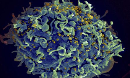 Cambio climático haría que aumente el riesgo de enfermedades infecciosas