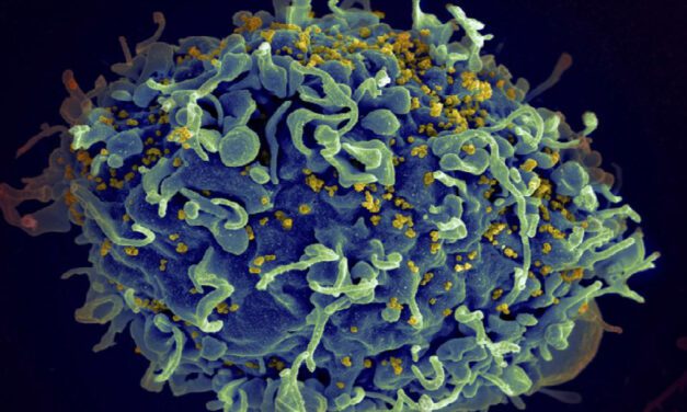 Cambio climático haría que aumente el riesgo de enfermedades infecciosas