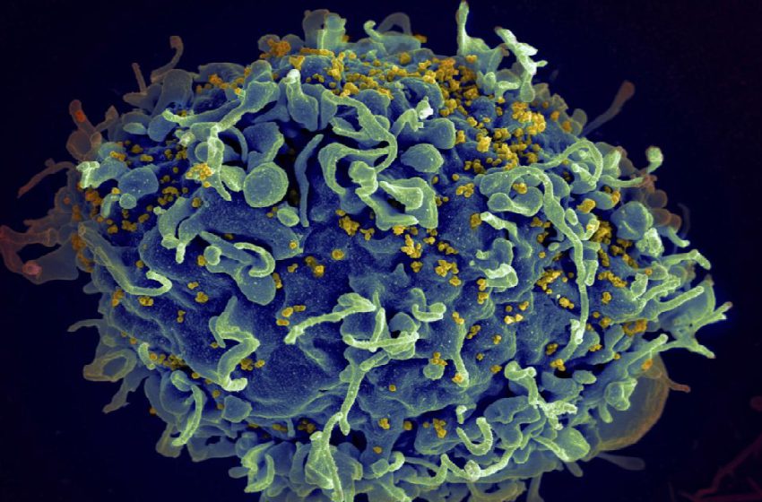 Cambio climático haría que aumente el riesgo de enfermedades infecciosas