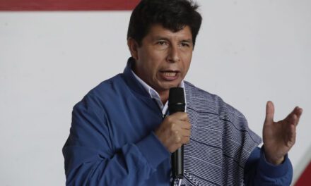 Pedro Castillo sobre crisis alimentaria en el Perú: “Hambruna les va a dar a los ociosos”