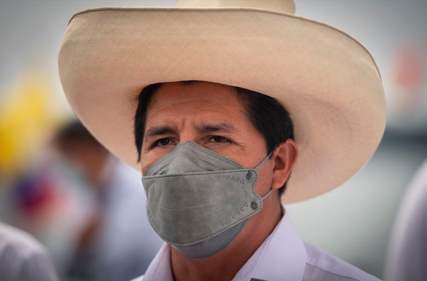 Presidente Castillo y primera dama habrían copiado el 54% de su tesis