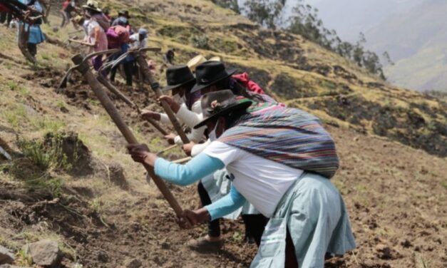 Campaña agrícola fue asegurada gracias a fertilizantes y financiamiento