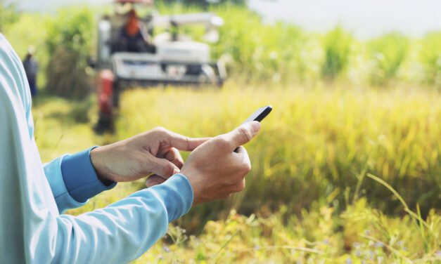 Centro poblado de Chalhuani en Abancay tendrá acceso a Internet por primera vez
