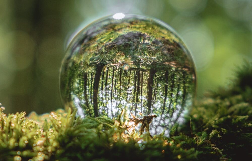 Signify demuestra que un futuro libre de emisiones por monóxido de carbono es posible