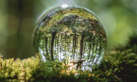 Signify demuestra que un futuro libre de emisiones por monóxido de carbono es posible