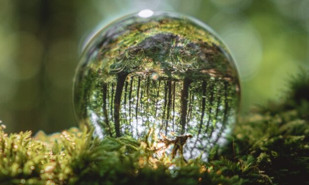 Signify demuestra que un futuro libre de emisiones por monóxido de carbono es posible