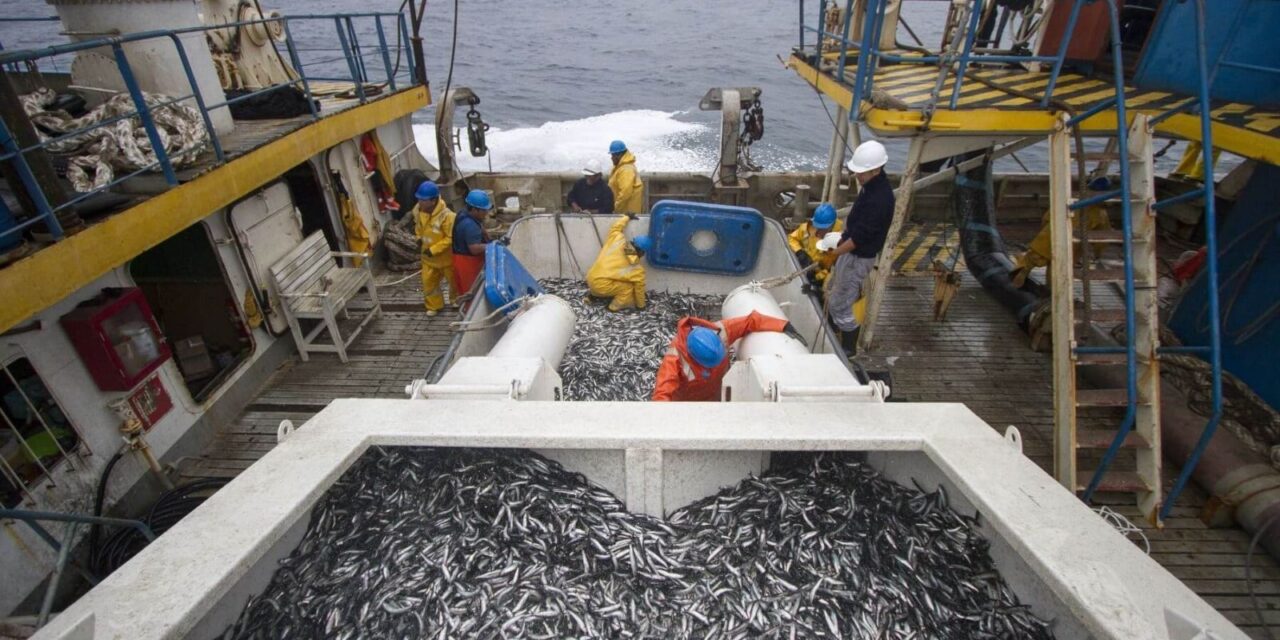 Día Nacional de la MYPE: más de 3,500 pequeñas empresas sostienen servicios clave para la pesca peruana