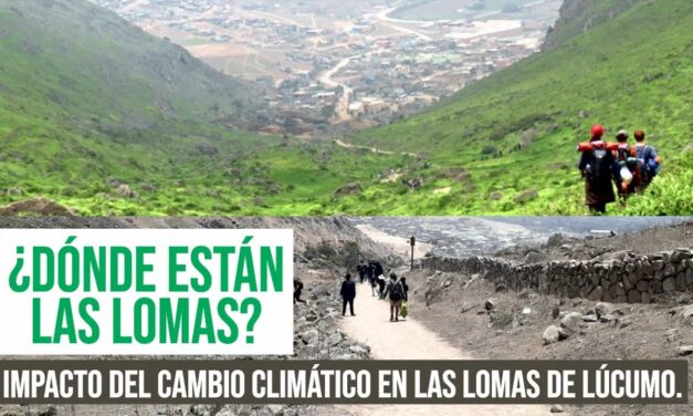 ¿Dónde están las lomas? Impacto del cambio climático en las Lomas de Lúcumo.