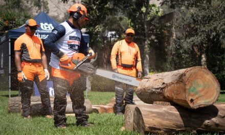 Campeonato Nacional de Motosierras ya tiene al representante peruano para la final en Brasil