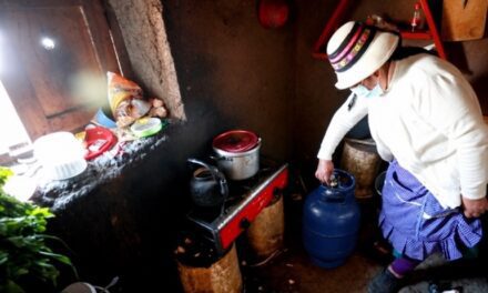 Más de 3 millones de hogares cocinan con leña: el reto de llevar energía limpia a más peruanos