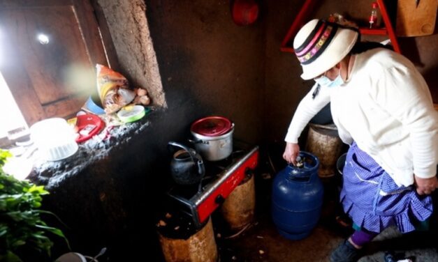 Más de 3 millones de hogares cocinan con leña: el reto de llevar energía limpia a más peruanos